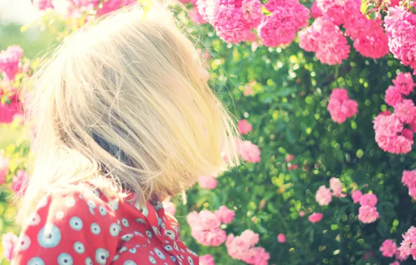 Picture girl, flowers, hair, garden, bokeh
