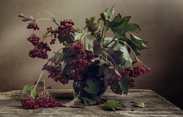 Berries, bouquet, still life, Kalina