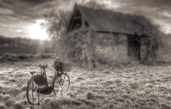 Old age, bike, retro