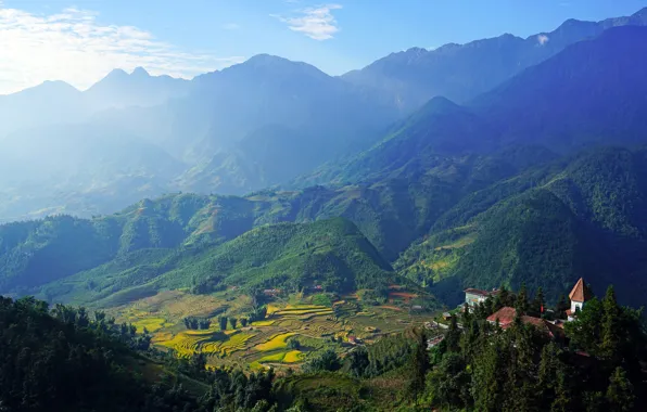 Greens, forest, the sky, the sun, trees, mountains, field, home