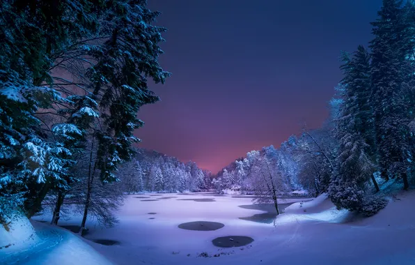 Picture ice, winter, road, forest, the sky, snow, trees, landscape