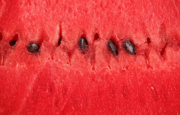 Macro, watermelon, the flesh, berry