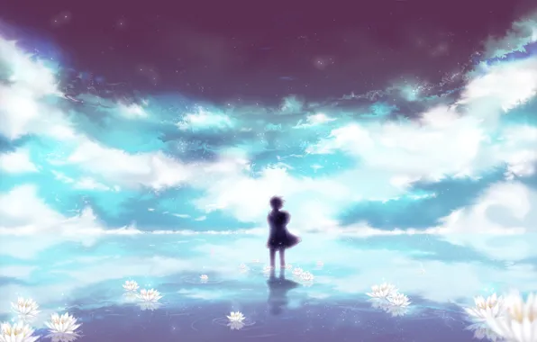 The sky, water, stars, clouds, flowers, reflection, the wind, Lily