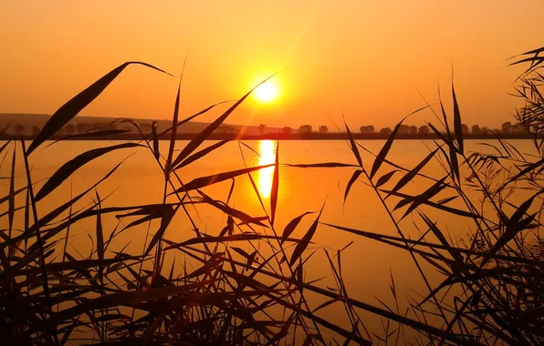 The sky, leaves, the sun, sunset, lake, river, hills, plants