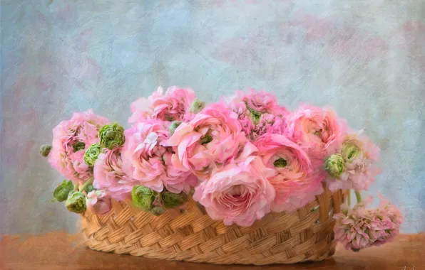 Picture flowers, pink, basket, bouquet
