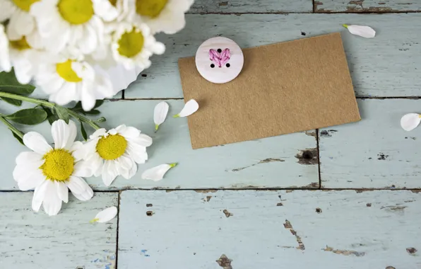 Flowers, chamomile, love, wood, flowers, romantic, camomile