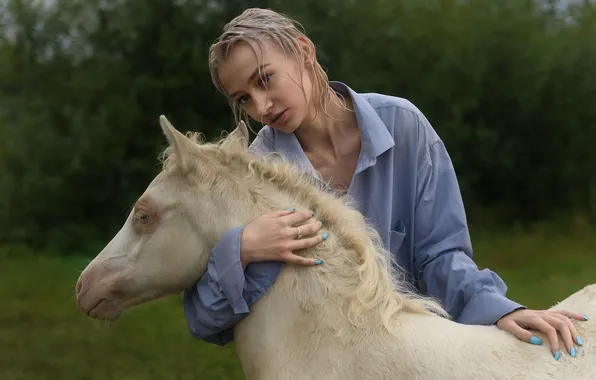 Horse, blonde, Maxim Mikhailov