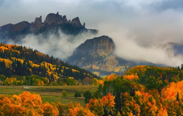 Autumn, forest, trees, mountains, fog, paint, Colorado, USA