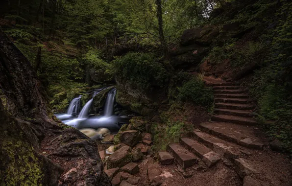 Forest, trees, Park, stones, thickets, the descent, waterfall, slope
