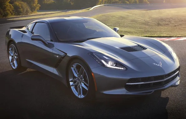 Grey, Corvette, Chevrolet, Chevrolet, the front, Stingray, Corvette, Stingray