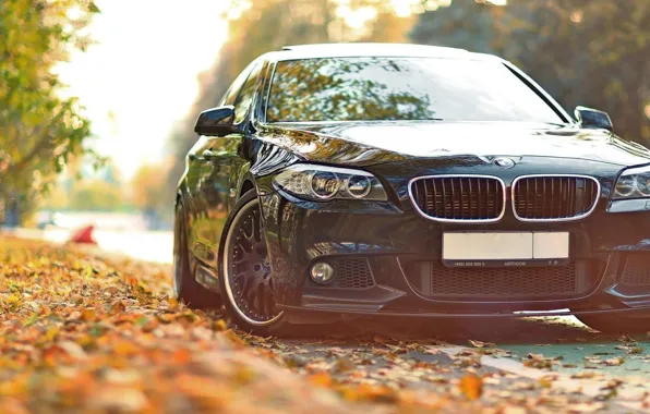 BMW, sedan, 5 series, F10, 5 Series, the sixth generation of the BMW "fifth" series