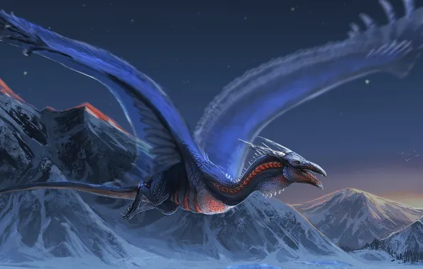 Picture fantasy, Dragon, landscape, night, wings, mountains, snow, digital art