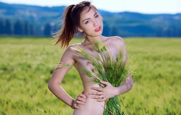 Wheat, field, chest, look, nature, tummy, spikelets, Gabriele