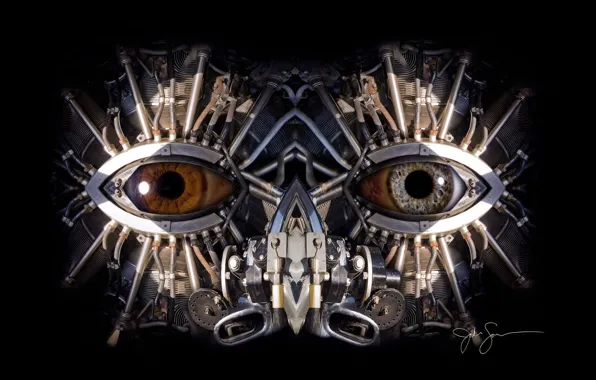 Picture mechanism, robot, Eyes, cyborg
