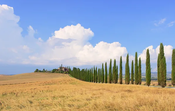 Field, the sky, clouds, trees, blue, house, Italy, farm