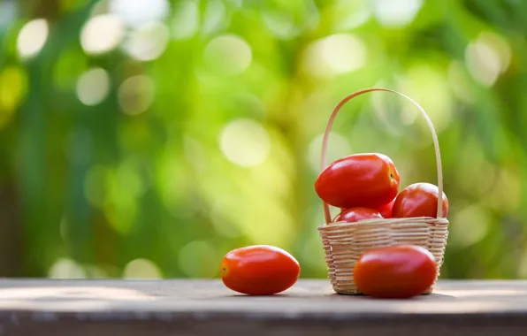 Green, table, background, food, basket, tomatoes, tomatoes, bokeh