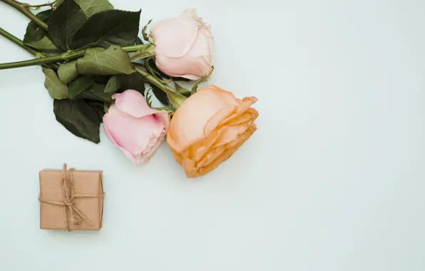 Flowers, gift, roses, bouquet, pink, flowers, roses, gift box