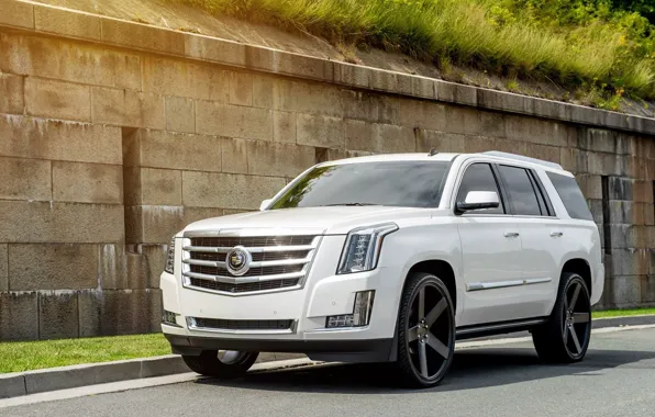 Picture Cadillac, Escalade, Front, White, Road, 2015, Rides
