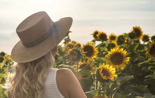 Picture flowers, hat, blonde, girl, summer, sunflowers