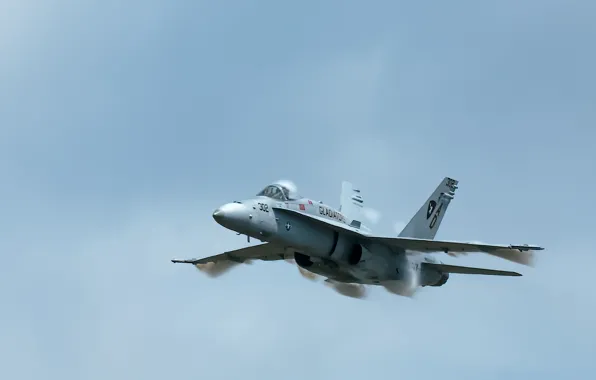 Picture weapons, Hornet, FA18C