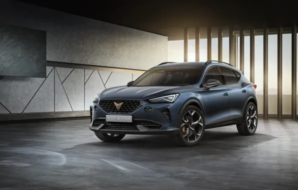 Crossover, Seat, Cupra, 2019, Formentor