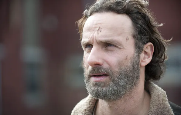 Look, face, The Walking Dead, Andrew Lincoln