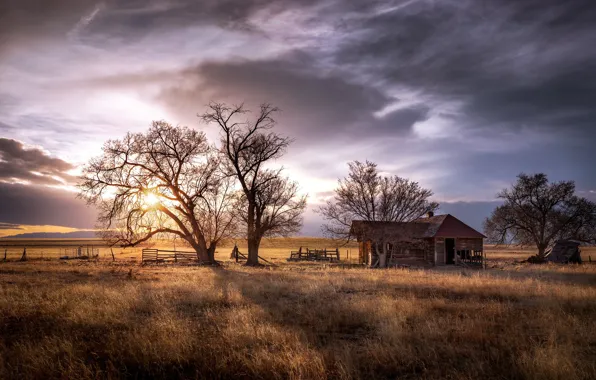 Picture field, light, house, tree, United States, Colorado, Ellicott
