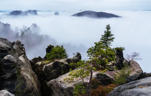Picture mountains, nature, fog