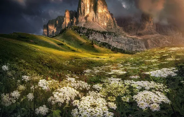 Landscape, mountains, clouds, nature, vegetation, Italy, The Dolomites