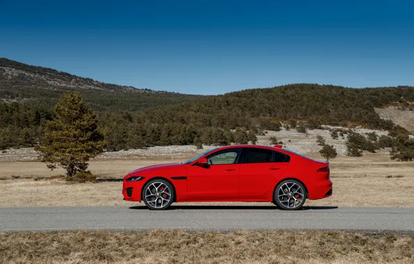 Picture road, red, tree, Jaguar, side view, 2020, Jaguar XE