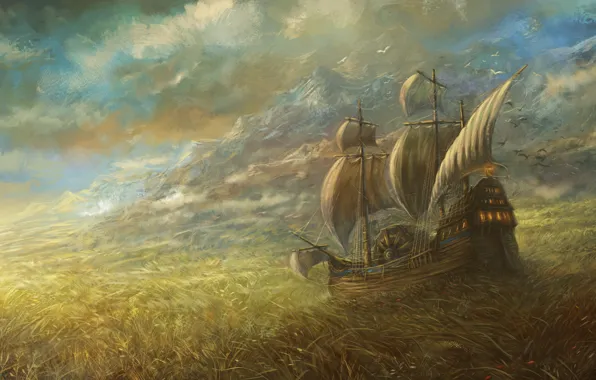 Field, the sky, ship