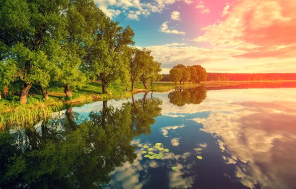 The sky, Nature, Clouds, Reflection, Trees, River, Landscape