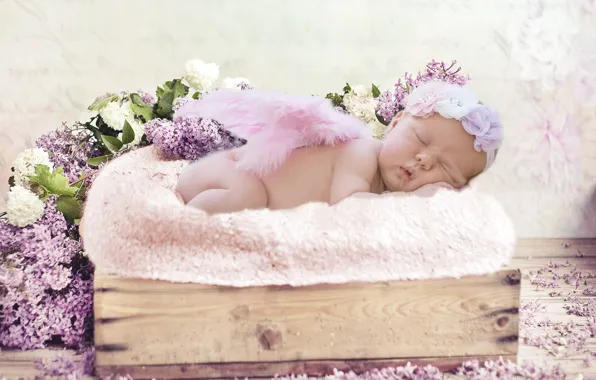 Picture joy, flowers, romance, child, beauty, photoshoot, beautiful, baby