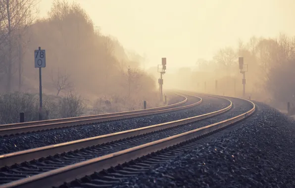 Nature, fog, railroad