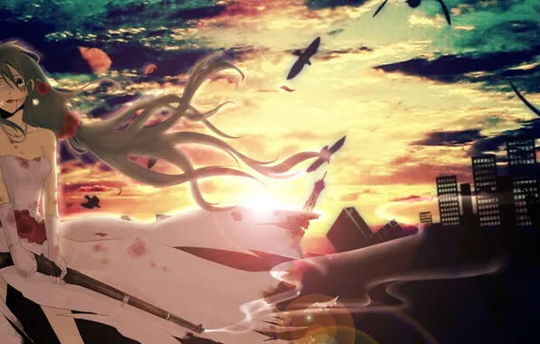 The sky, girl, clouds, sunset, birds, the city, weapons, blood
