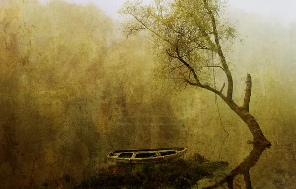 Water, fog, tree, boat, picture