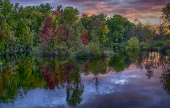 Picture autumn, forest, the sky, clouds, river, the evening