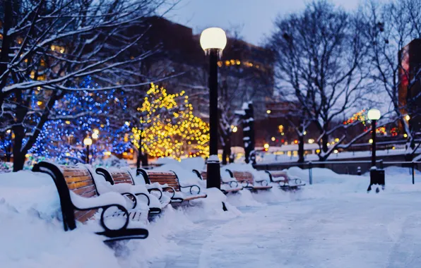 Winter, light, snow, trees, the city, lights, the evening, lights