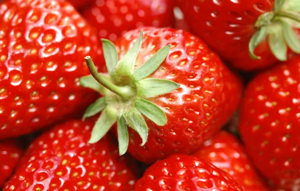 Summer, red, berries, food, strawberry