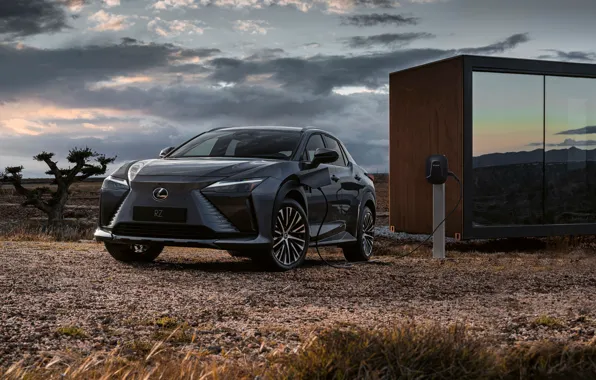 Black, Lexus, Crossover, 2022, Electric SUV, Electric crossover, Lexus RZ 450e