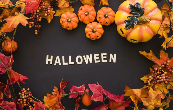 Leaves, Halloween, pumpkin, Halloween, black background, pumpkin