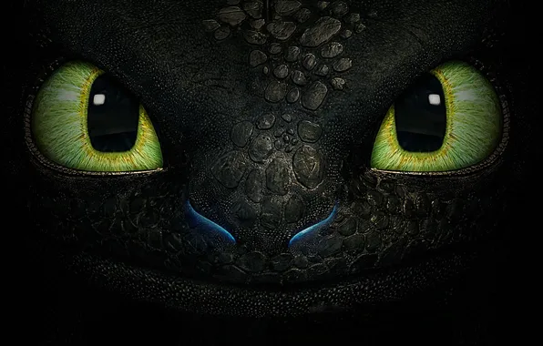 Picture eyes, fantasy, dragon, cartoon, texture, toothless, the night fury