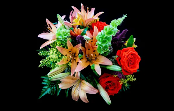 Picture greens, leaves, flowers, orange, red, bright, Lily, roses