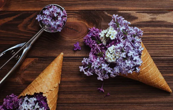 Flowers, horn, wood, flowers, lilac, spring, lilac, cone