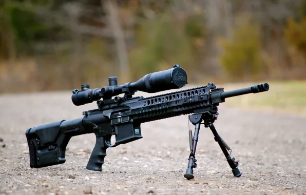 Picture rifle, automatic, fry, ‎AR-10