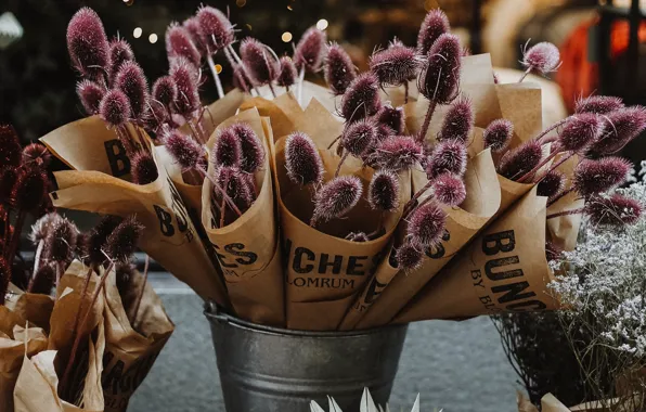 Bucket, barbed, perennials, bouquets