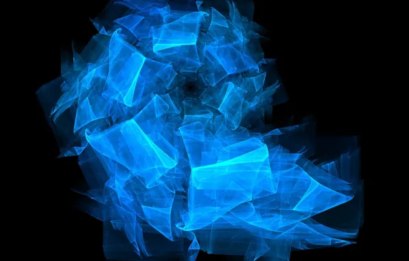 Curls, shell, black background