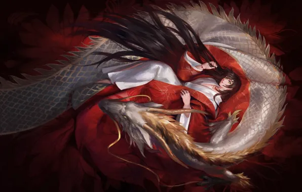 Picture girl, dragon, art, pixiv fantasia