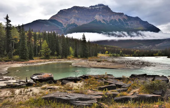 Picture autumn, forest, the sky, mountains, river, stones, rocks, shore