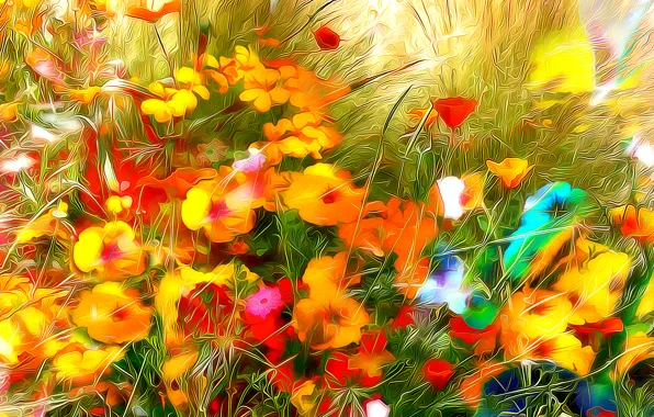 Field, grass, line, flowers, paint, petals, meadow